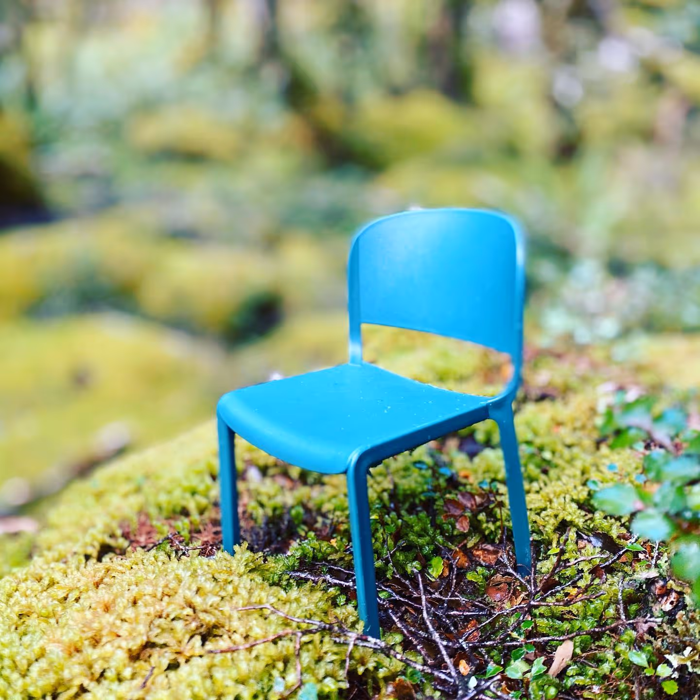 The Beauty of Moss: Dome Chair Travels Through New Zealand