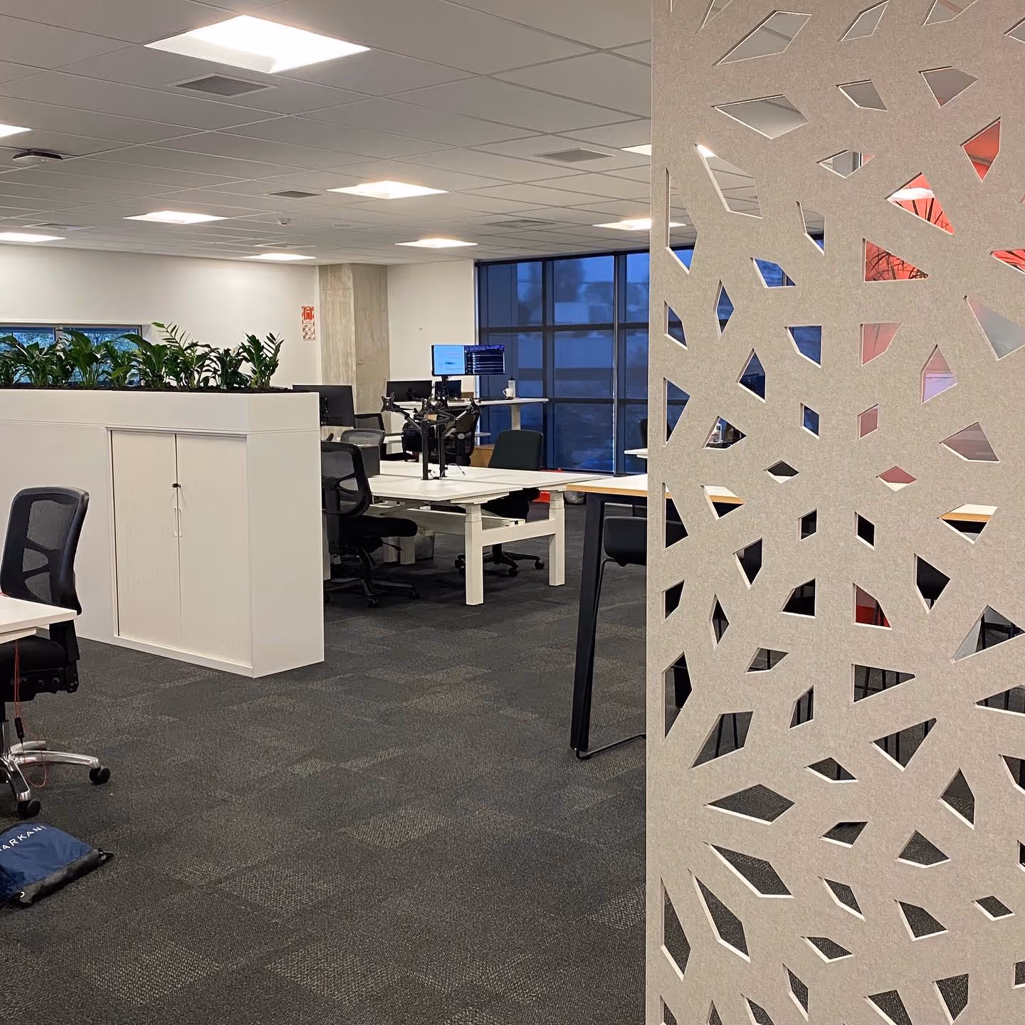 Another Successful Sit-to-Stand Office Transformation