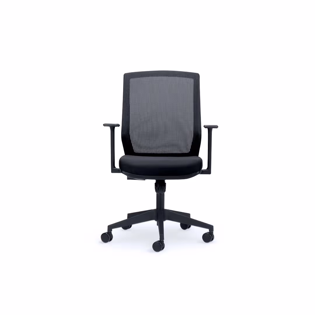 CS Work Mesh