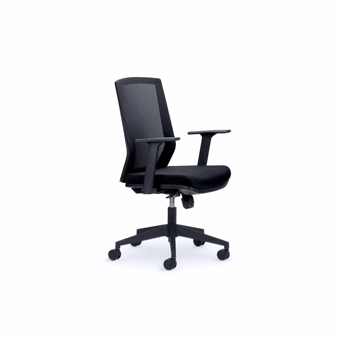 CS Work Mesh