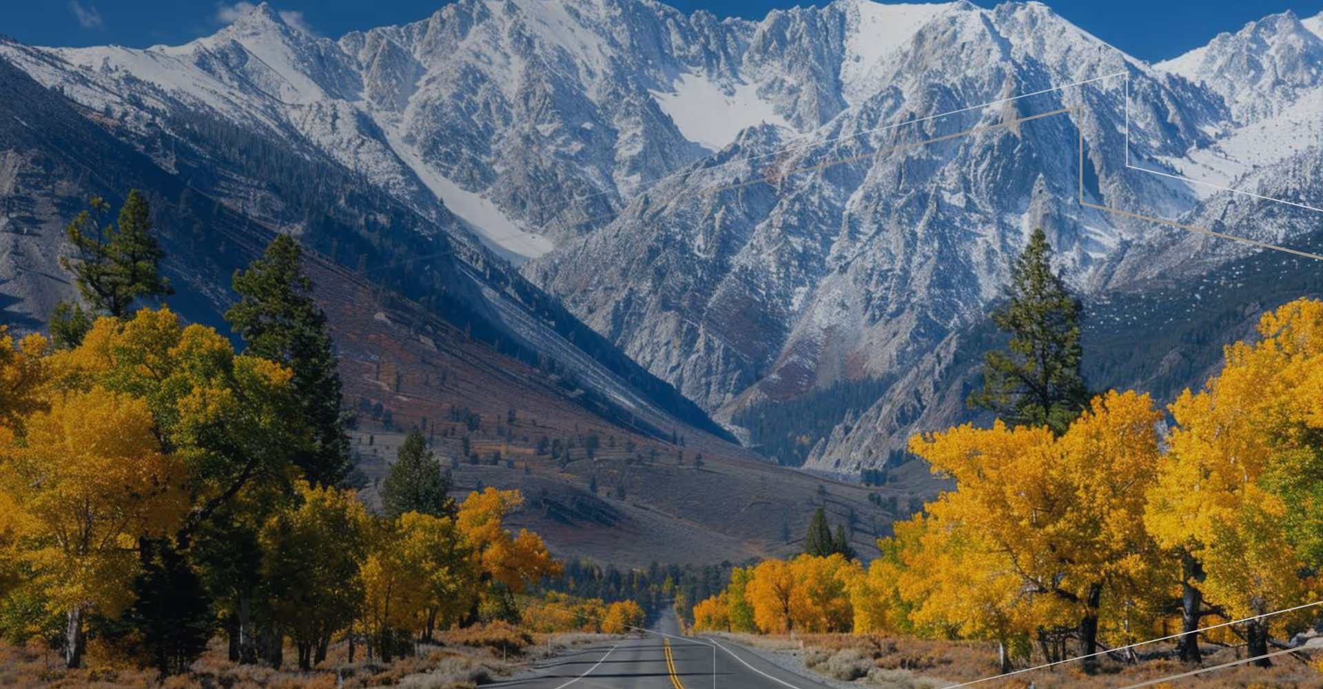 Open road lined with yellow-leaved trees and tall evergreens leading to snow-covered mountain peaks.