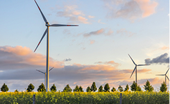 Wind turbines above green field with trees under a partly cloudy sky at sunset.
