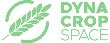 Logo kompanije Dyna