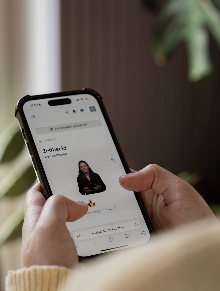 Cliënt volgt het programma Zelfbeeld op app.therapieland.nl