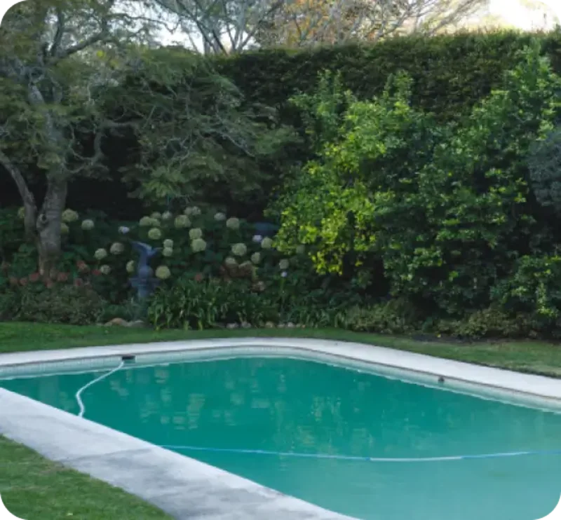Green Pool Recovery