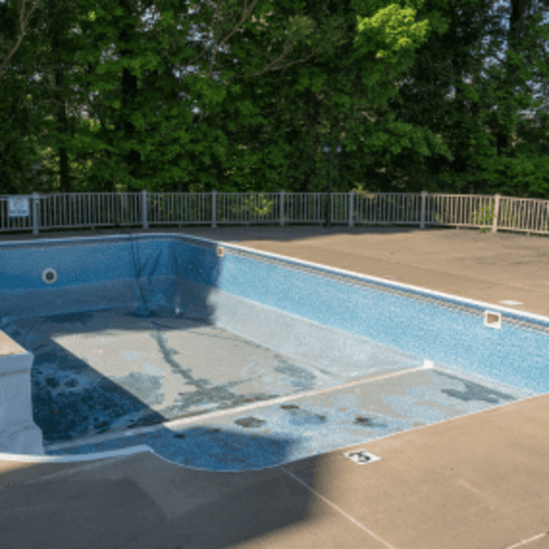 Pool Landscaping