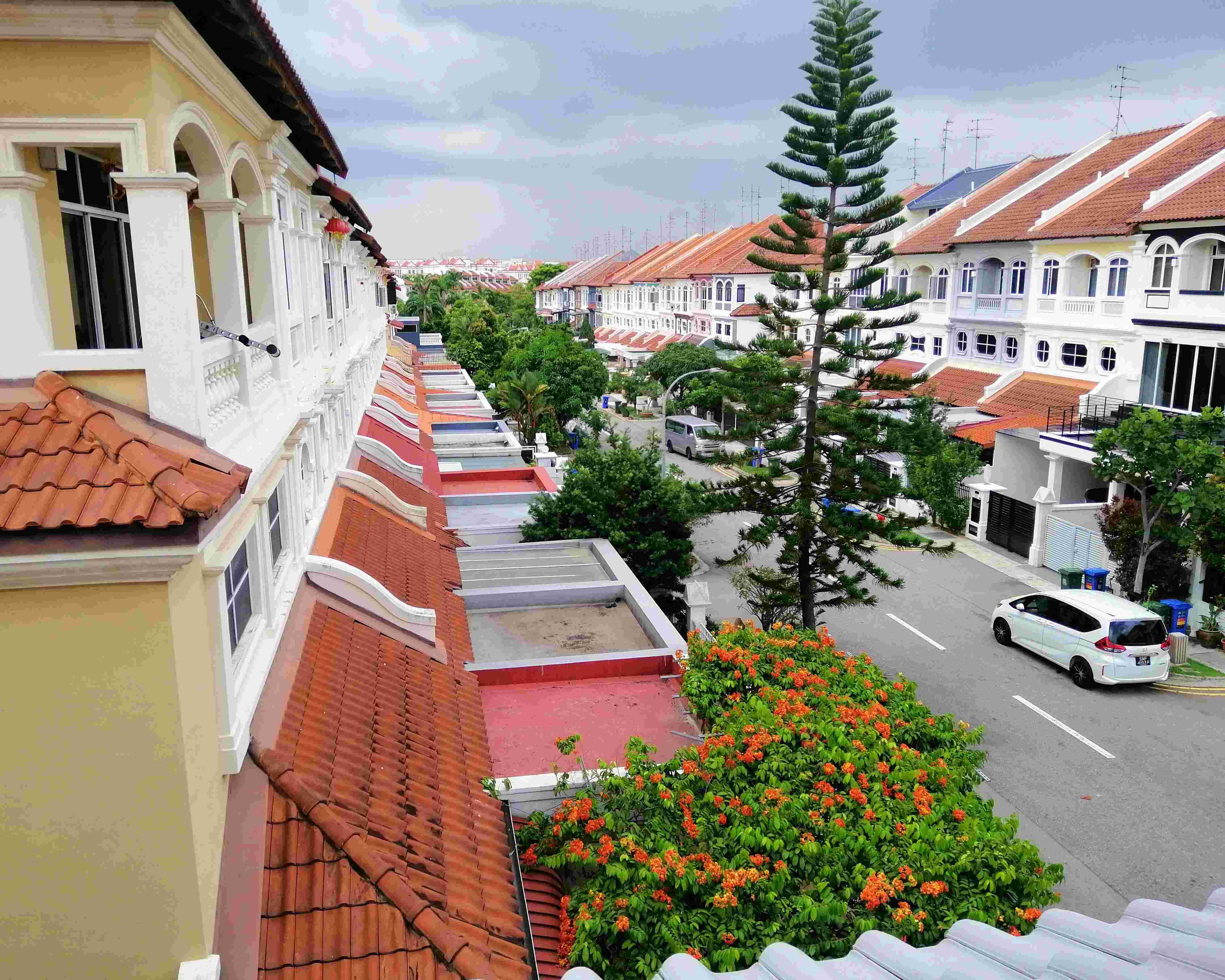 Street view of white terrace houses with red tile roofs and trees along the road.