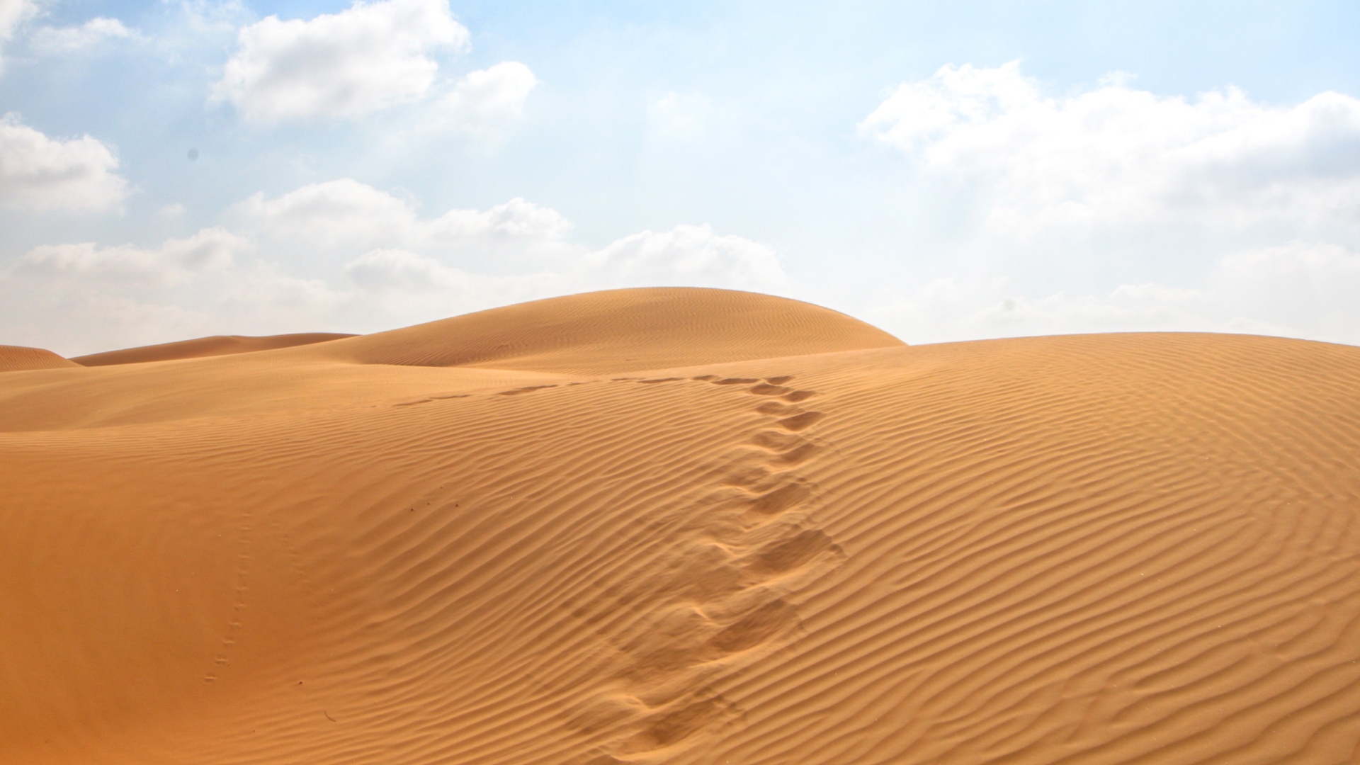 Close-up of a smooth, light-colored surface with soft shadows.