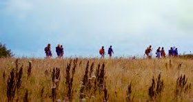 Wandergruppe im hohen Gras vor bewölktem Himmel