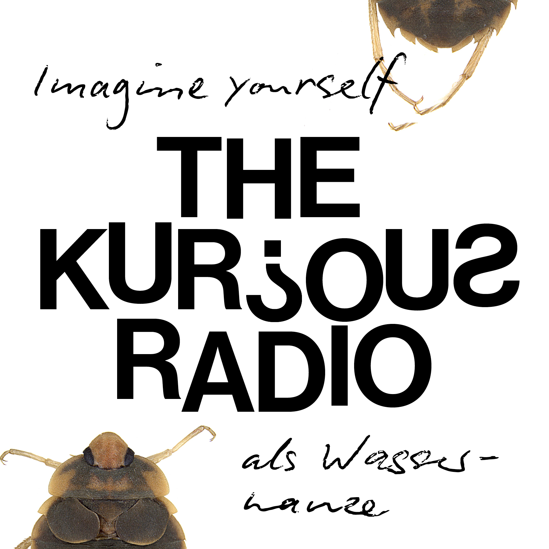 Imagine yourself als Wasserwanze