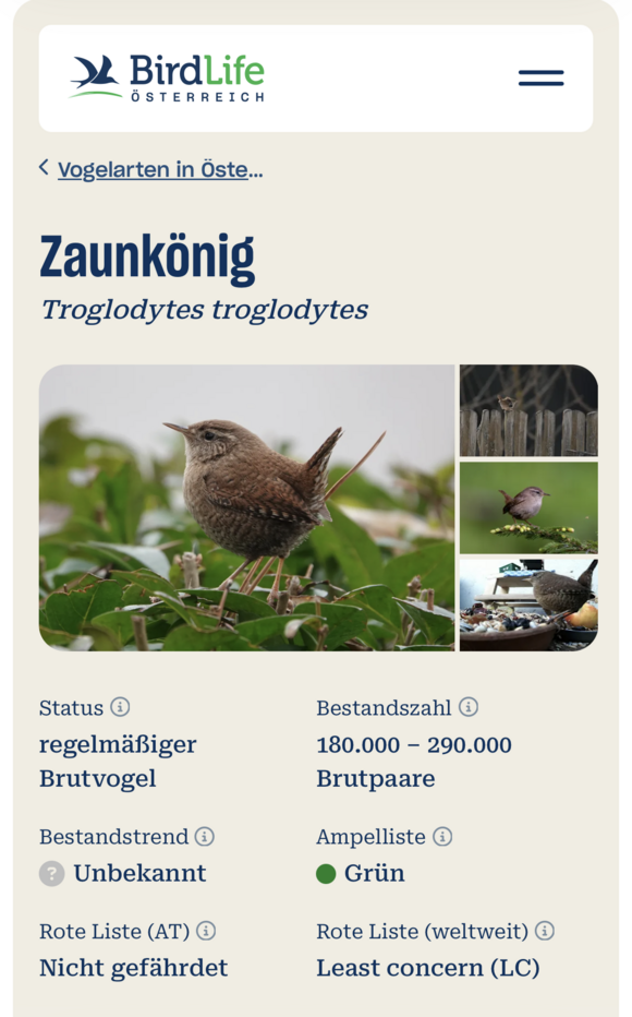 Steckbrief des Zaunkönigs auf der Website von BirdLife Österreich