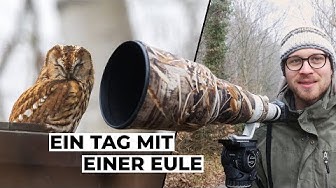 Bild aus dem Newsletter