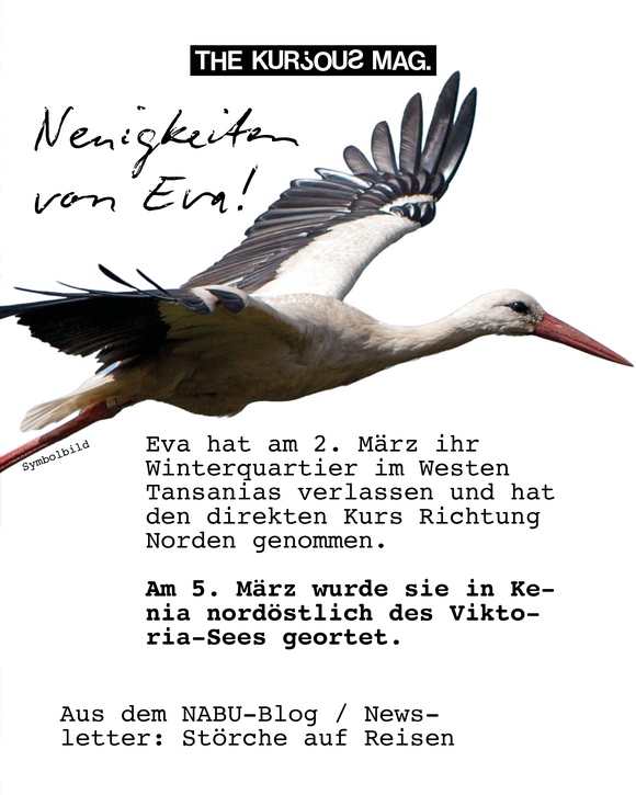 Bild aus dem Newsletter