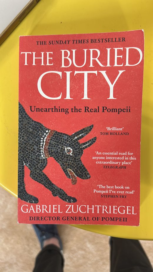 Buchcover: The Buried City – Unearthing the Real Pompeii von Gabriel Zuchtriegel