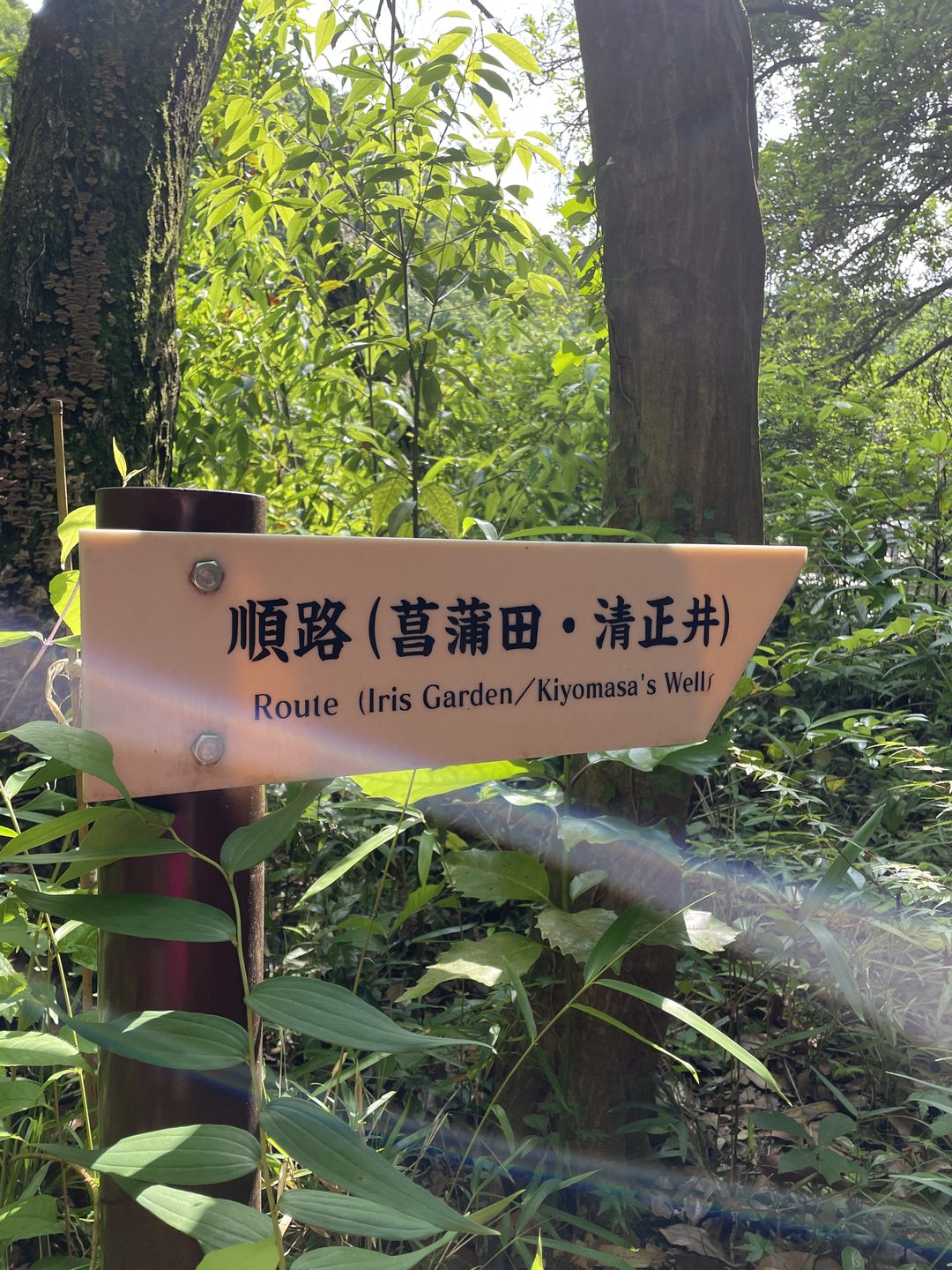 Holzwegweiser im grünen Wald mit der Aufschrift Route (Iris Garden / Kiyomasa’s Well)