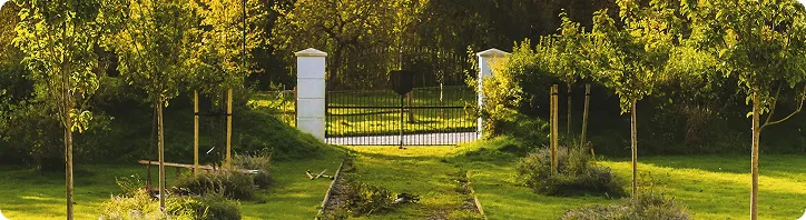 Grüner Gartenweg mit jungen Bäumen, Hecken und Tor in einem sonnendurchfluteten Park.