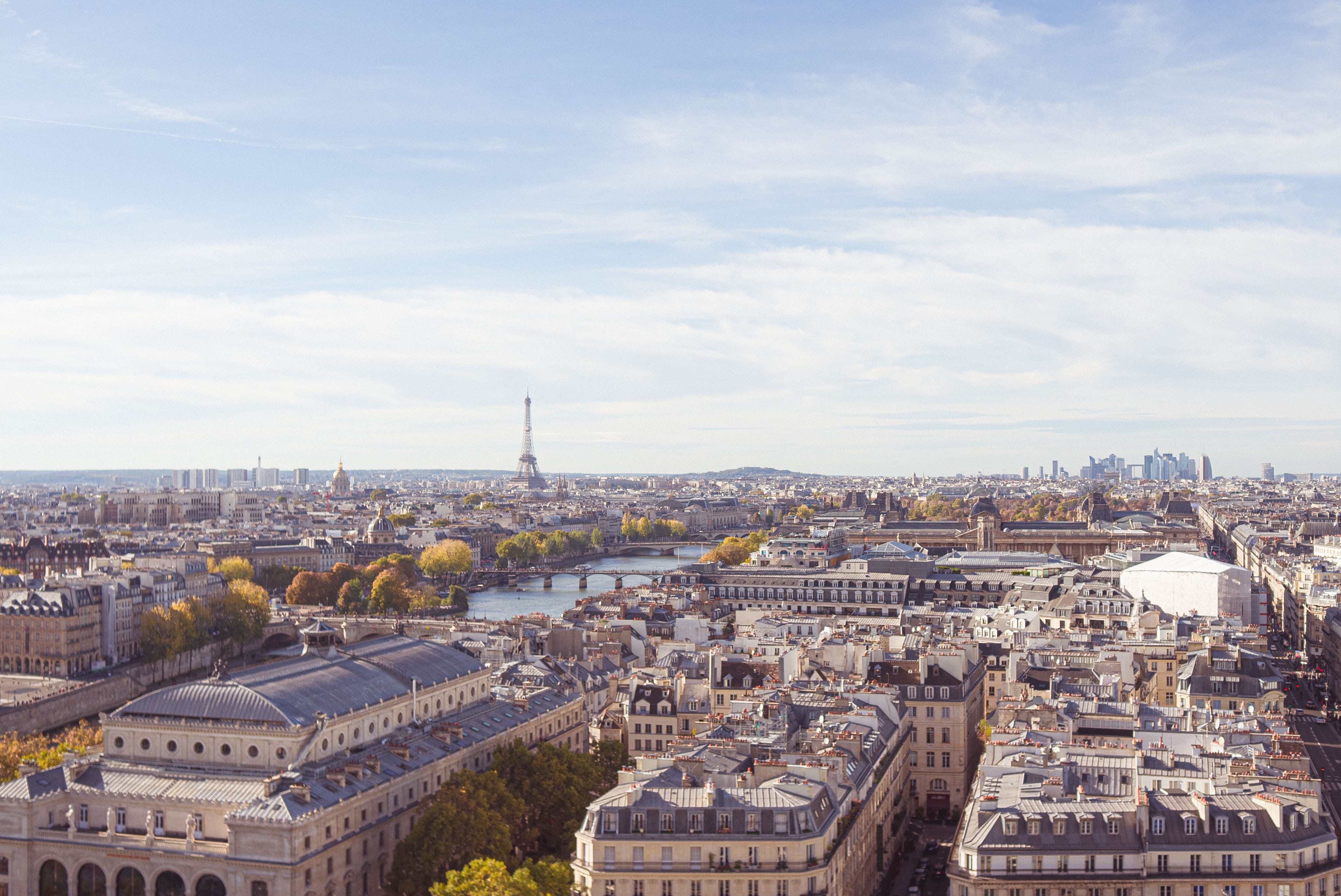 Vue aérienne des toits de Paris avec la tour Eiffel