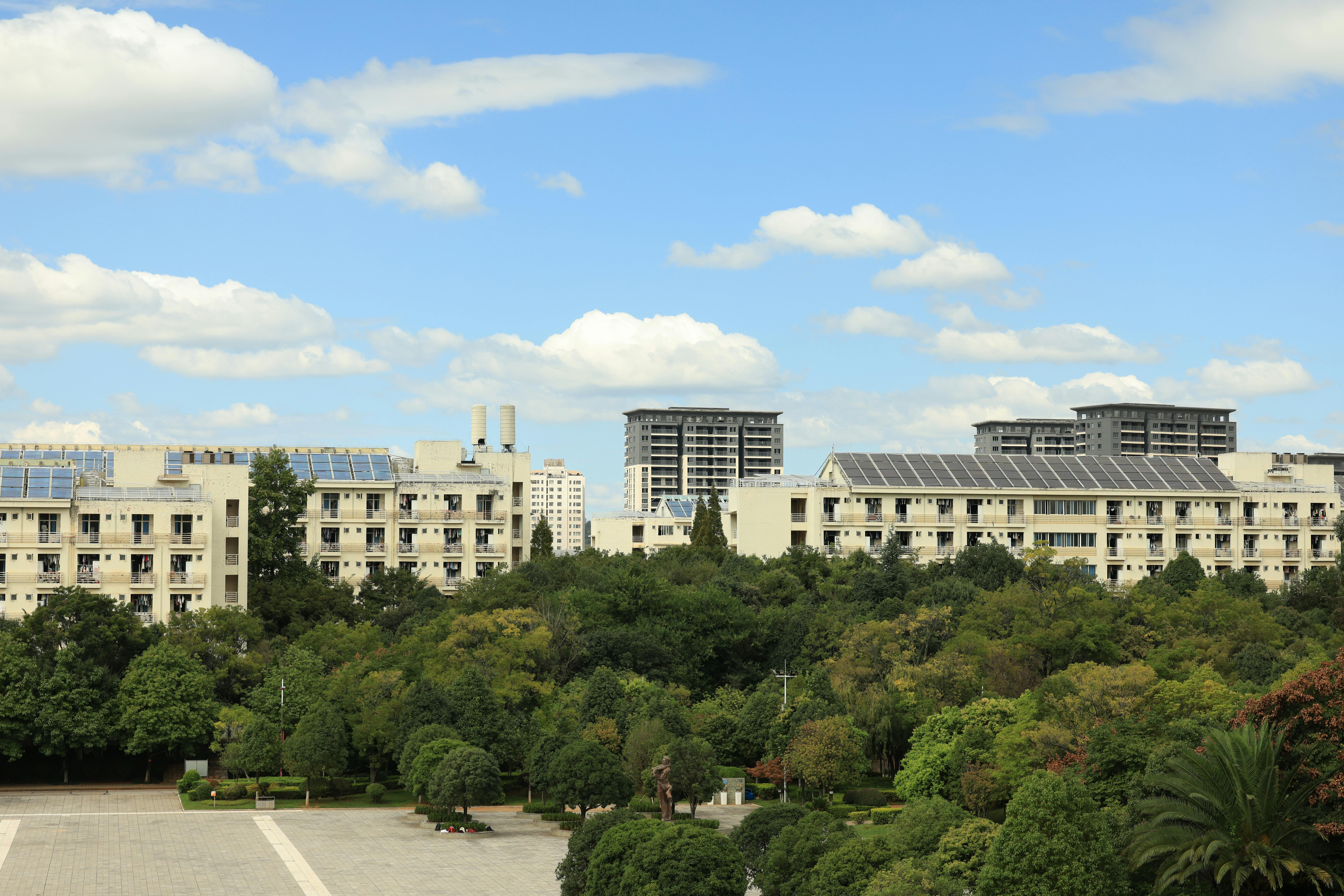 Immeubles neufs bordant un parc arboré
