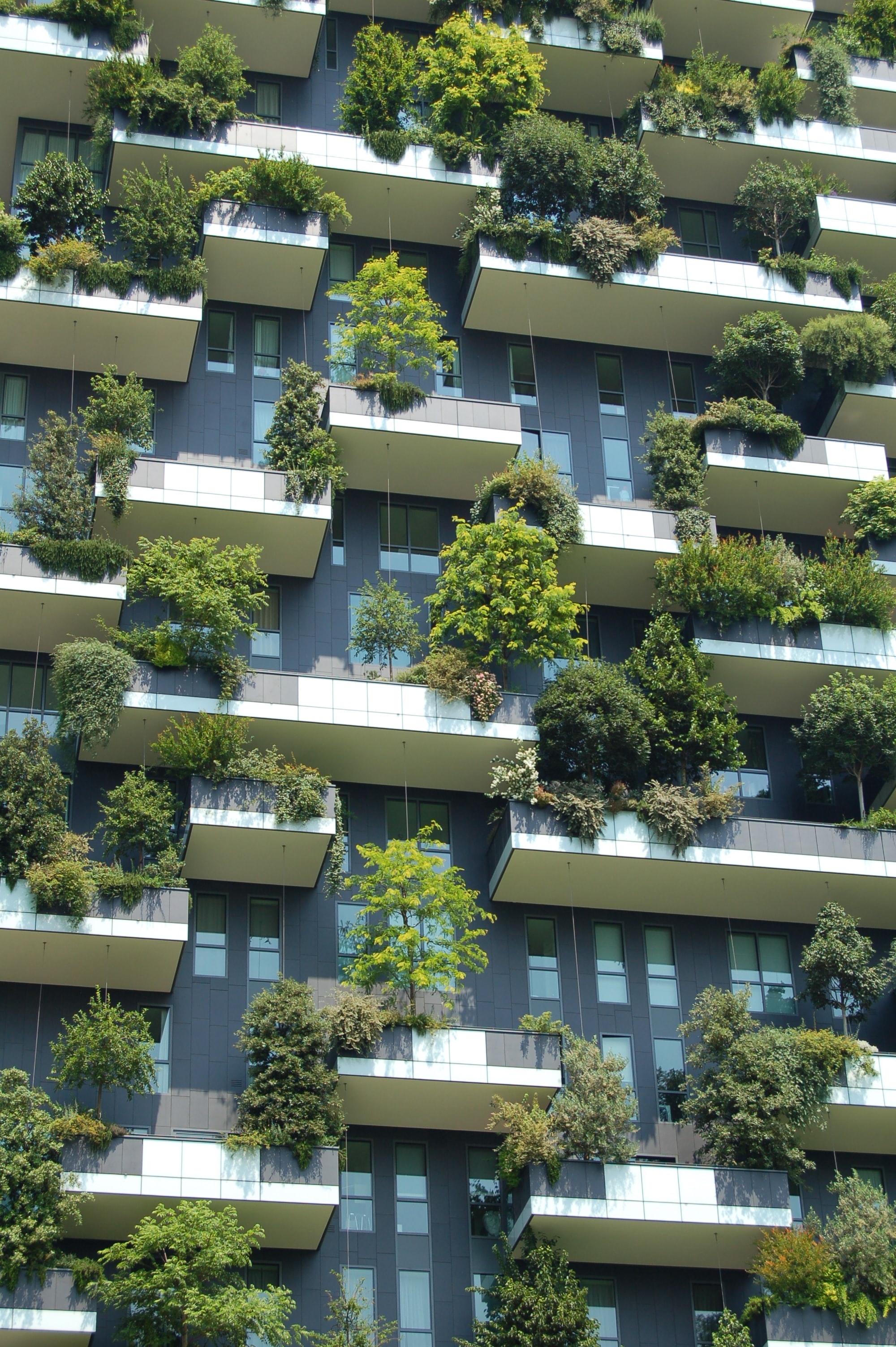 Tour d'habitation aux terrasses plantées d'arbres