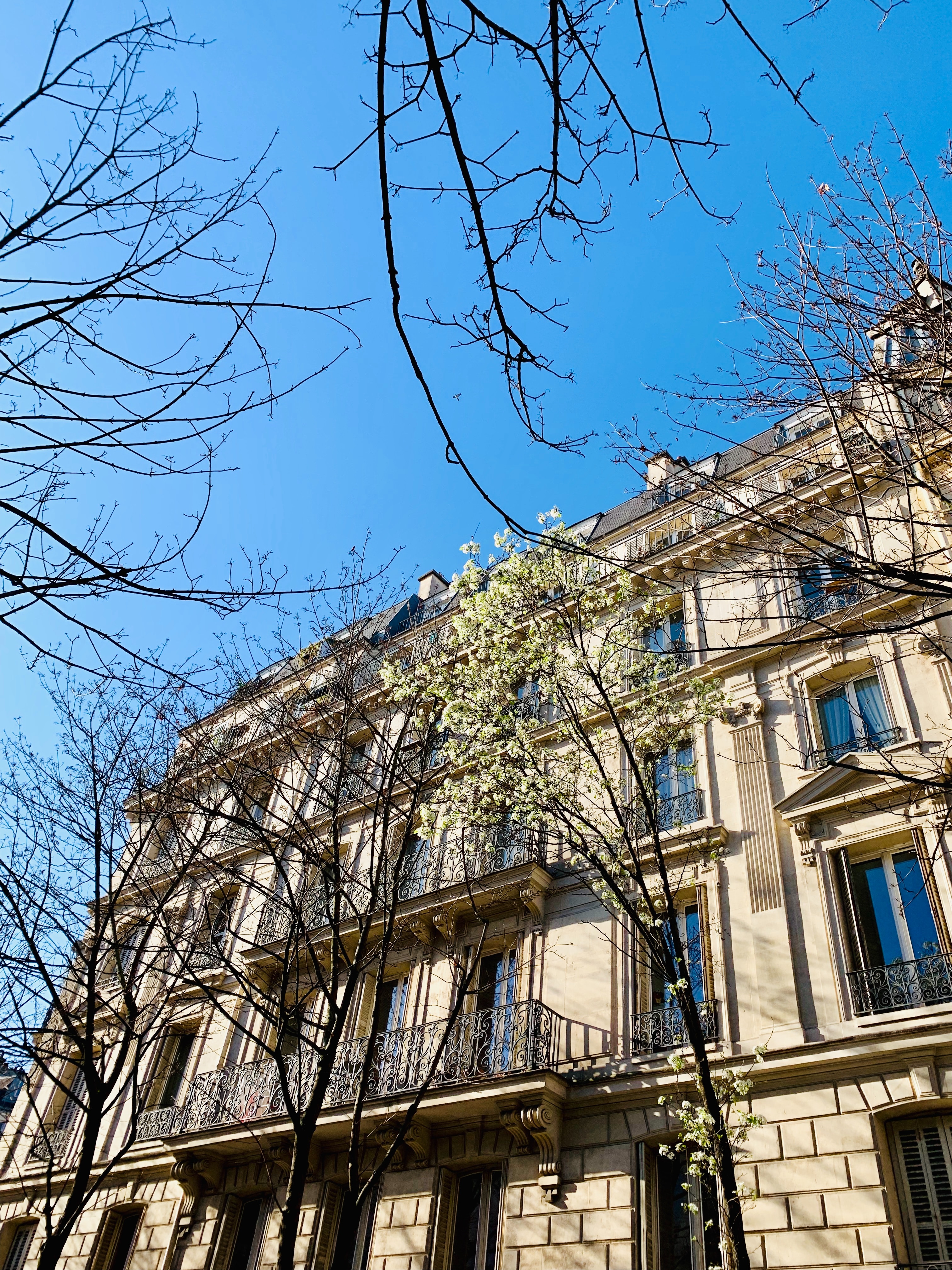 Façade d'un immeuble haussmannien vue depuis la rue