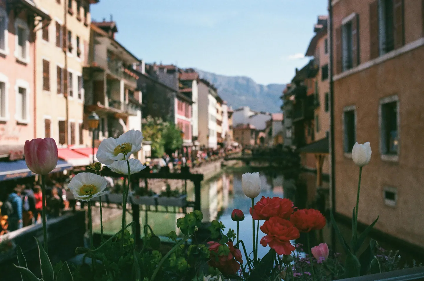 Canal bordé de maisons colorées et de massifs fleuris