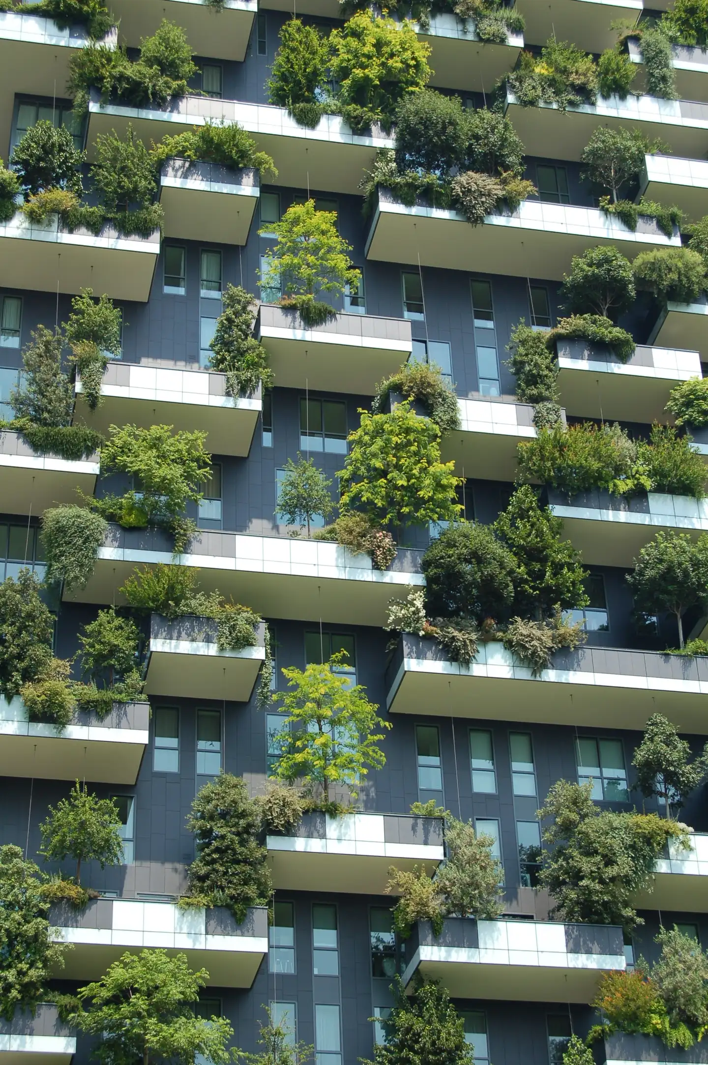 Tour d'habitation aux terrasses plantées d'arbres