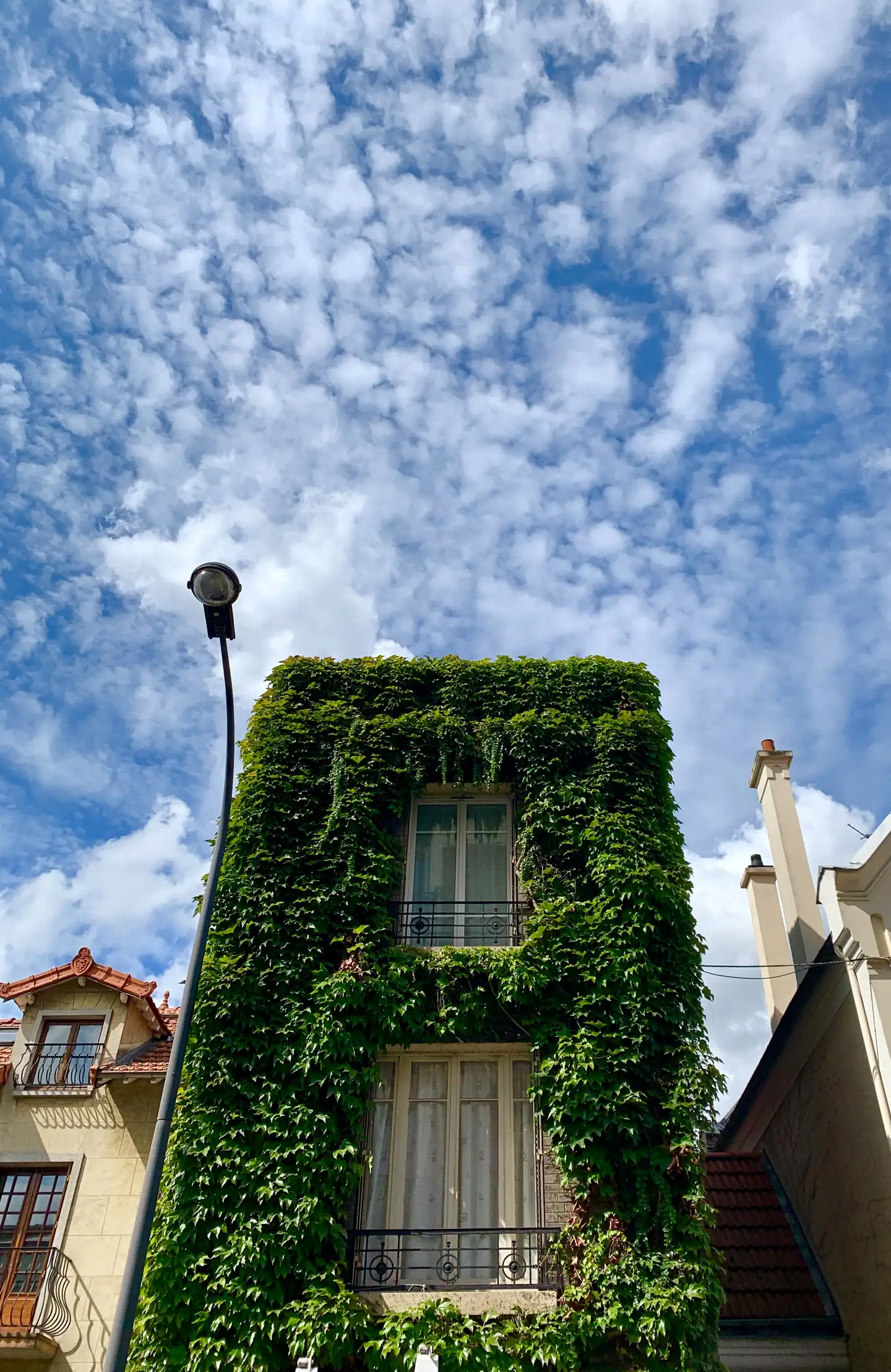 A building whose facade is completely covered in ivy