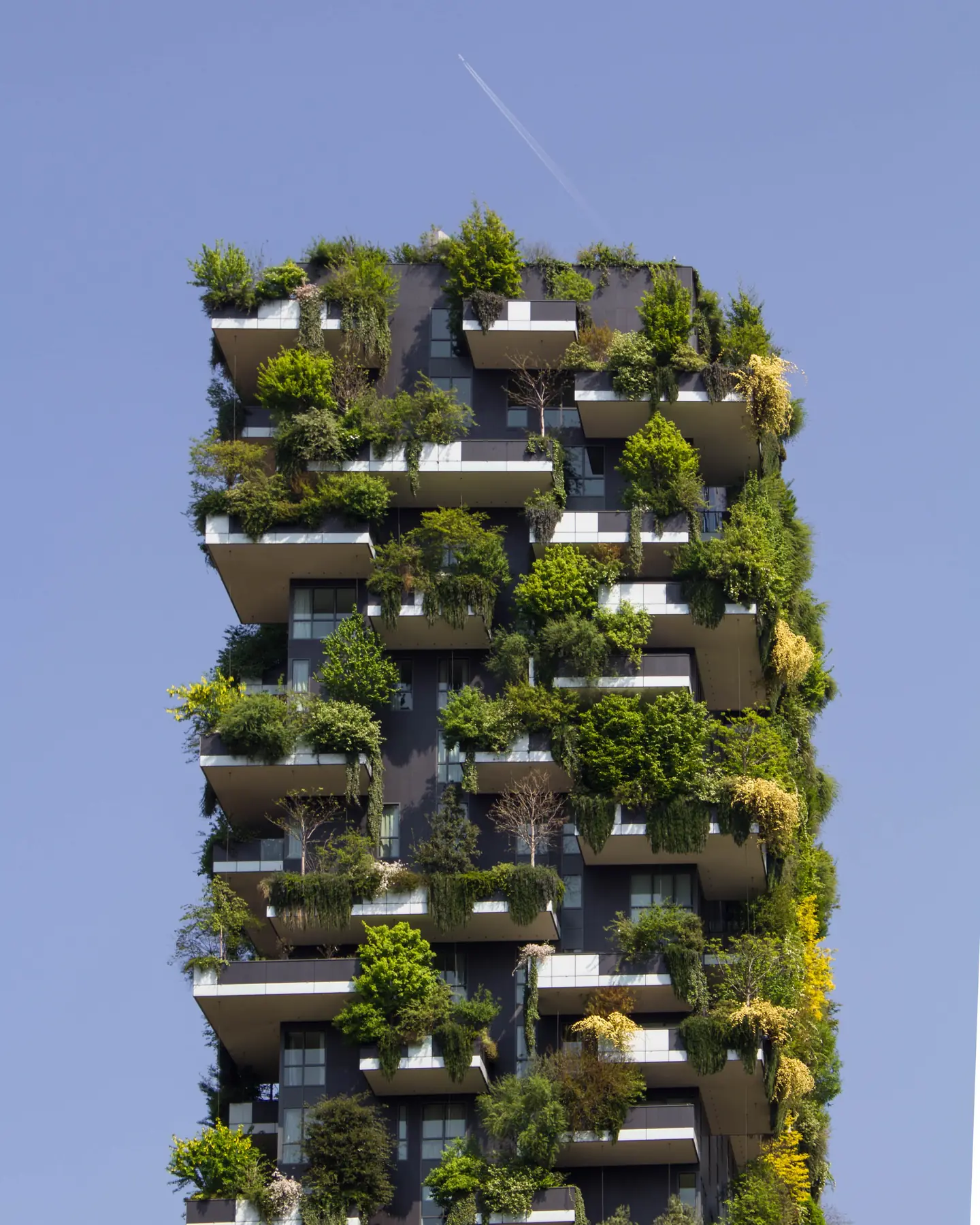 A high-rise apartment building with trees planted on its balconies