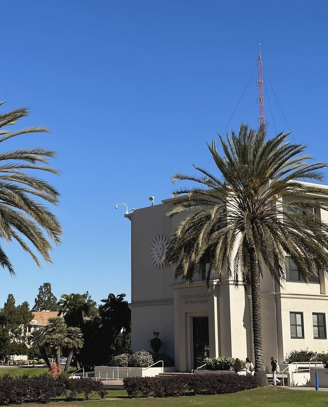 U.S. college campus with palm trees