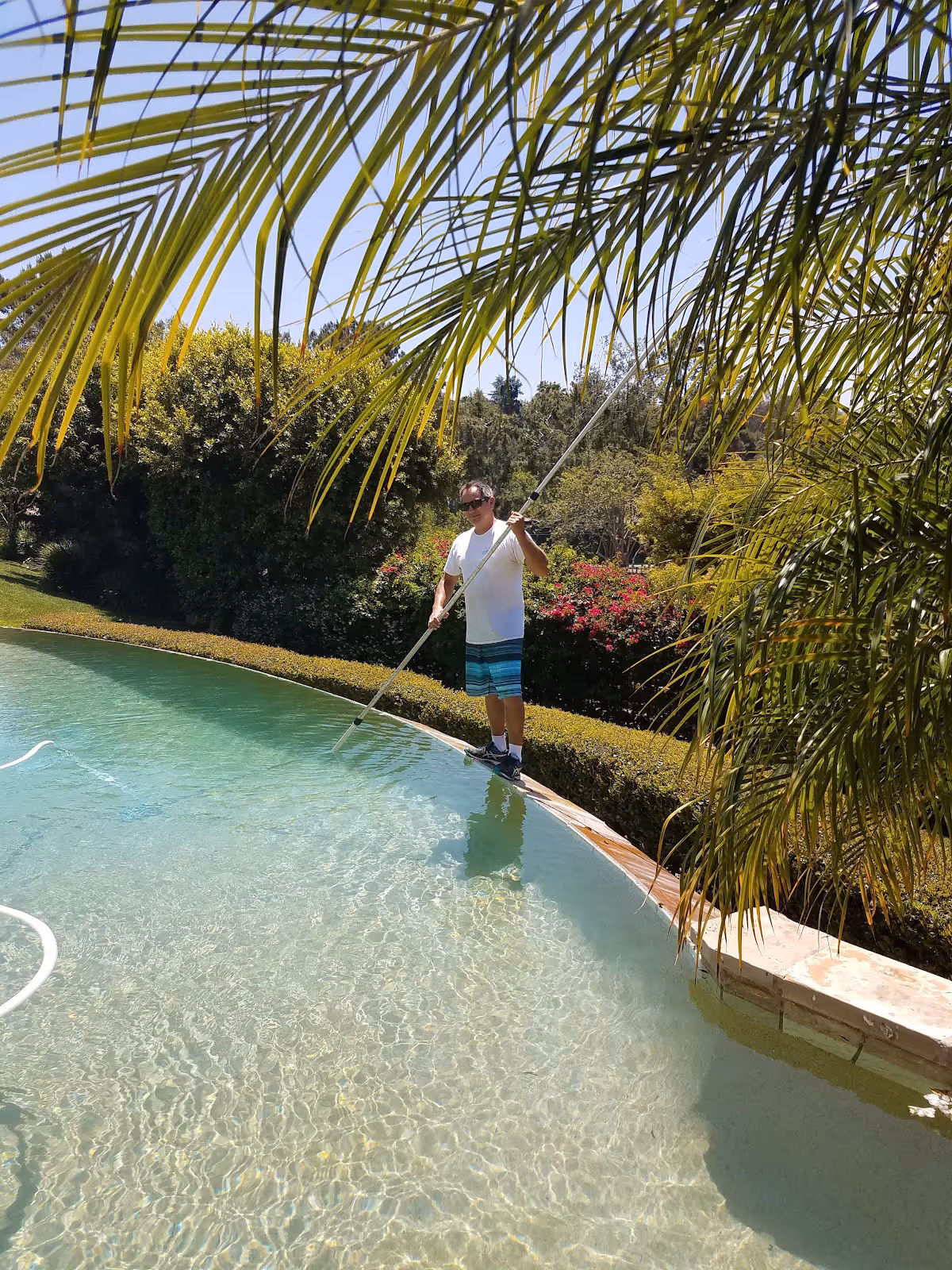 A backyard oasis in Vista, CA.