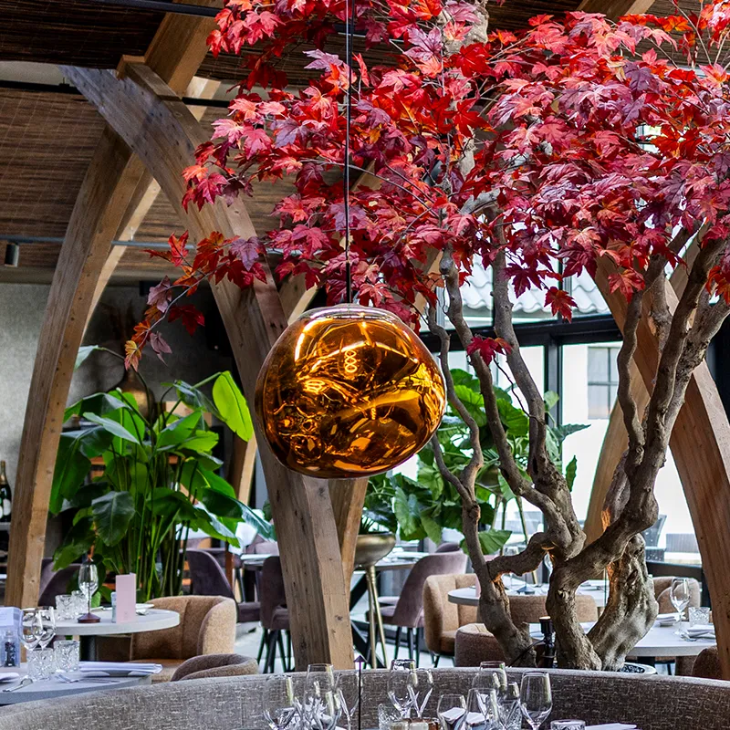 Moderne restaurant met grote ramen, rode boom, houten bogen en warme hanglamp.