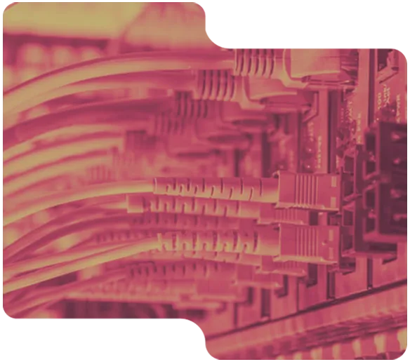 Network cables plugged into ports on a switch or router, arranged in multiple rows.