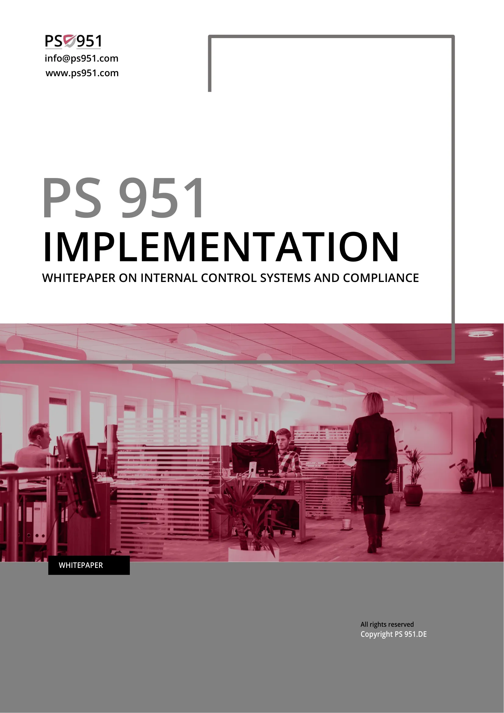 Cover of PS 951 whitepaper on internal control systems showing office workers and branding info.