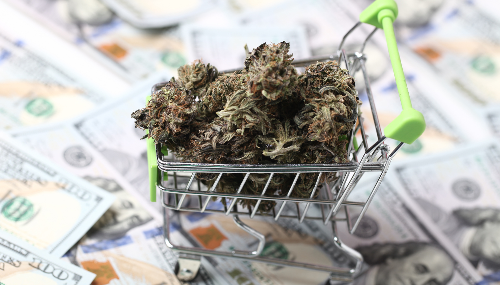 The #1 Banking Risk Most Cannabis Owners Overlook (Until It's Too Late)