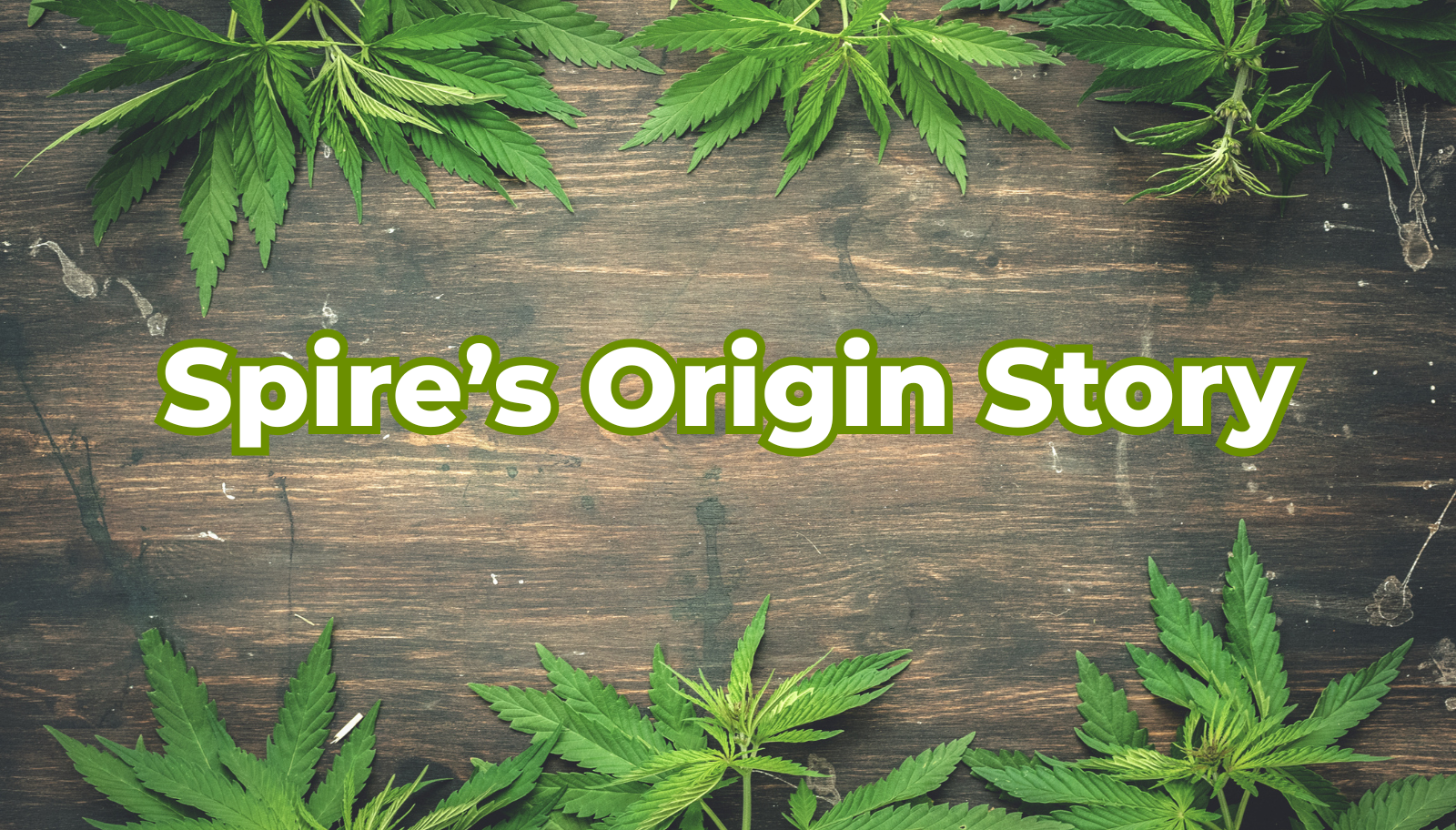 Blazing Trails: A Cannabis Insurance Origin Story
