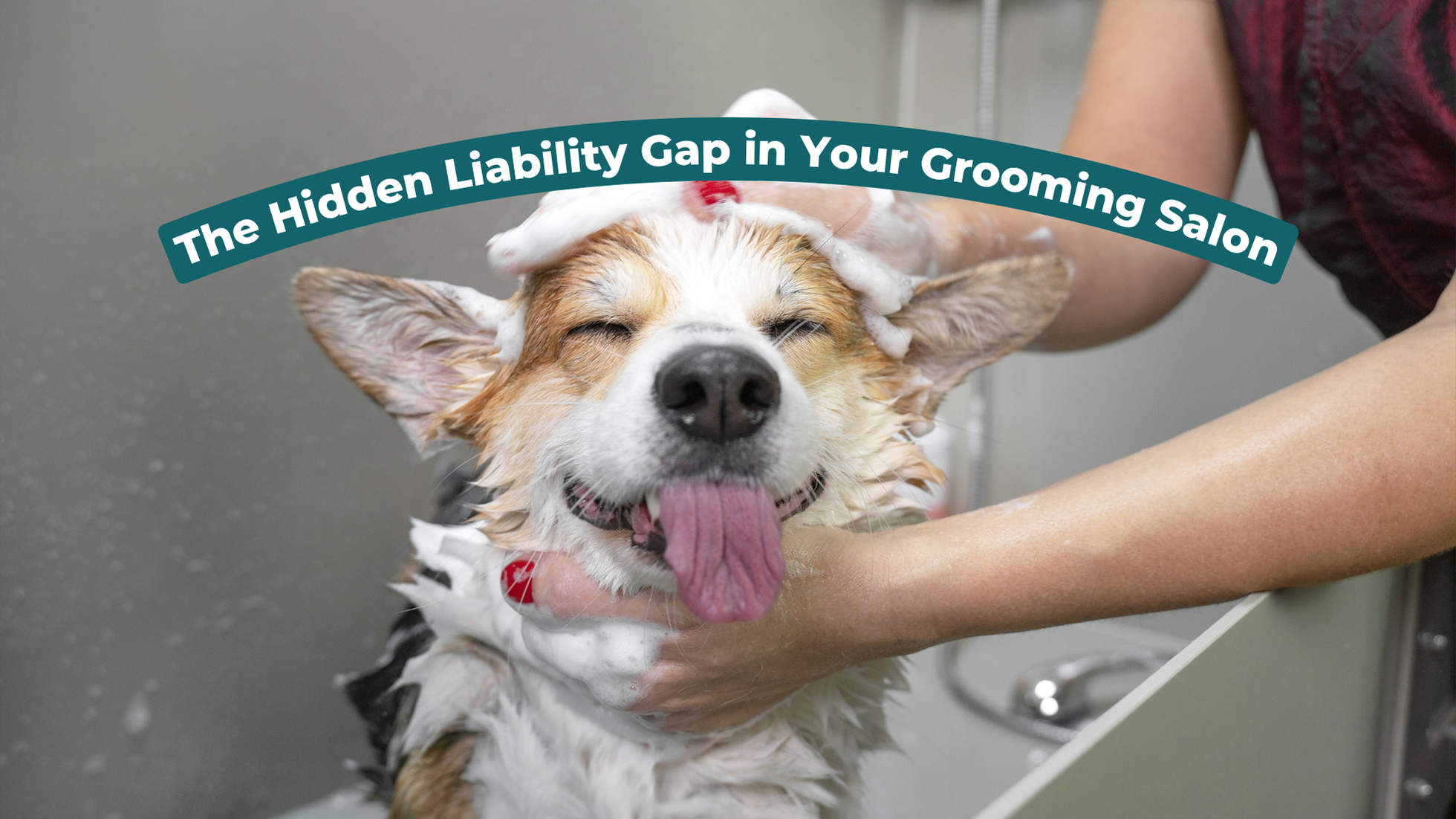 The Hidden Liability Gap in Your Grooming Salon: Independent Contractors, Booth Renters, and Who's Actually Covered When Something Goes Wrong
