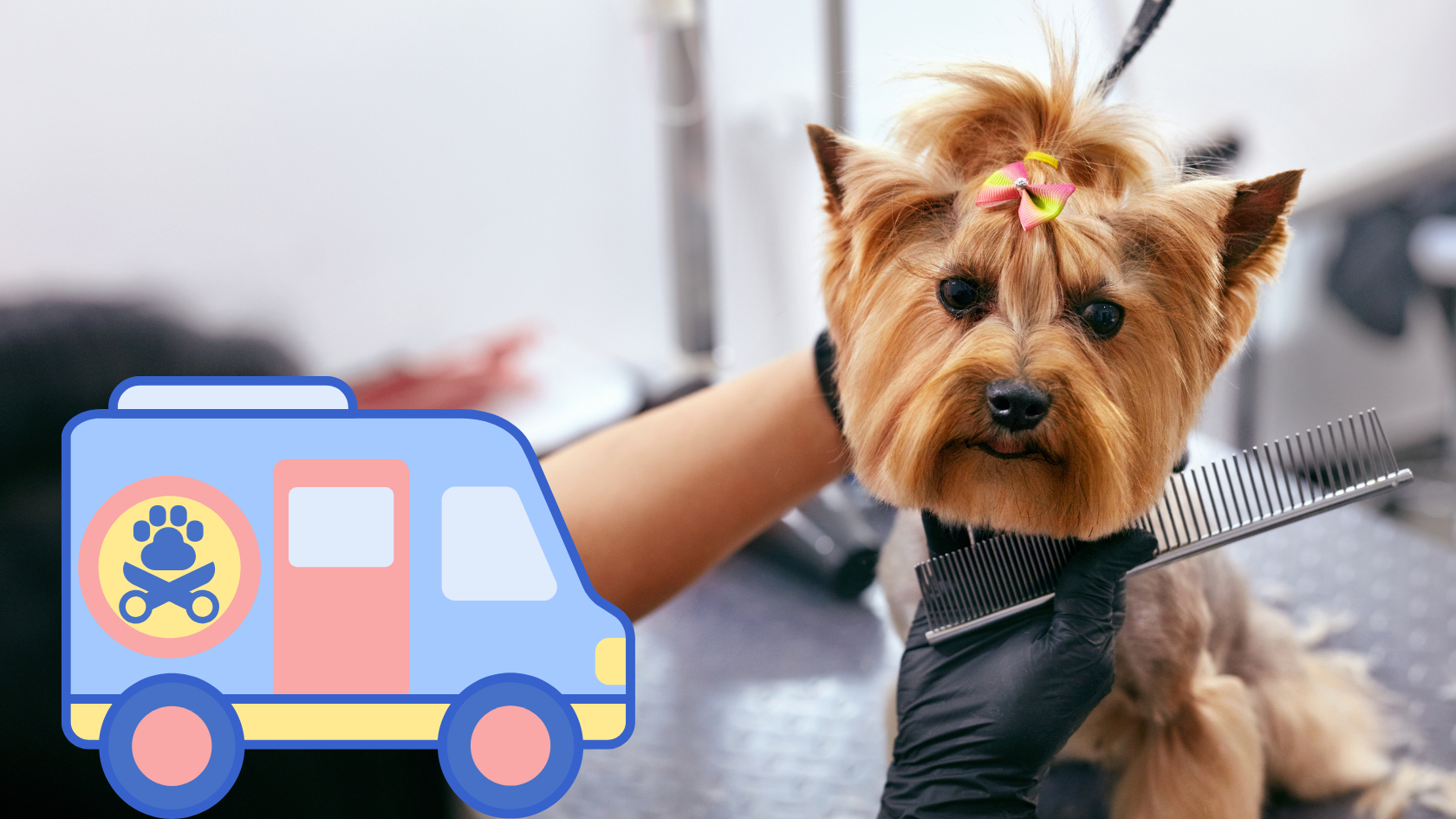 Mobile Grooming Insurance: The Coverage Questions Nobody Is Asking (But Should Be)