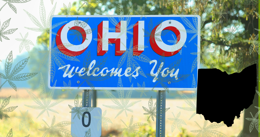 Who Are the Best Cannabis Insurers in Ohio?