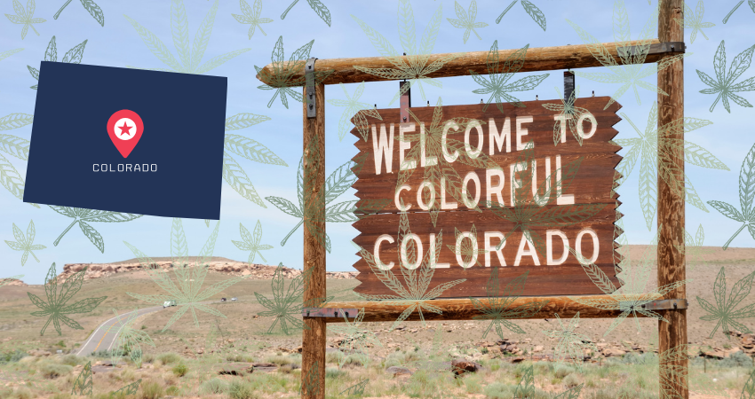 Who Are the Best Cannabis Insurers in Colorado?