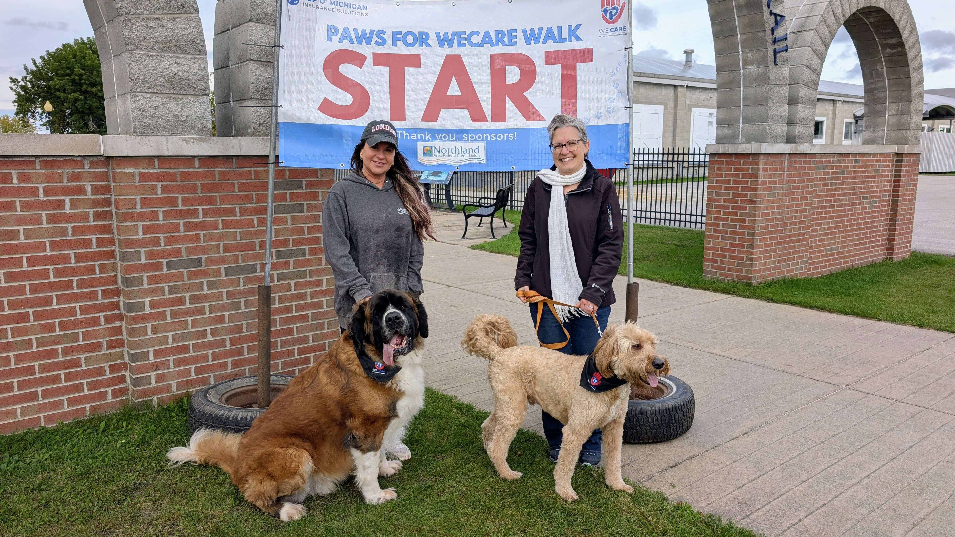 What Paws for WeCare Taught Us About the Pet-Care Community We Insure