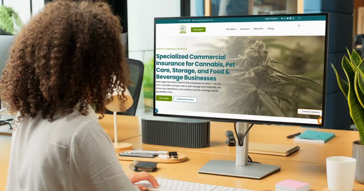 Why We Made Our Website Easier to Use
