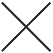 X Rojan Global