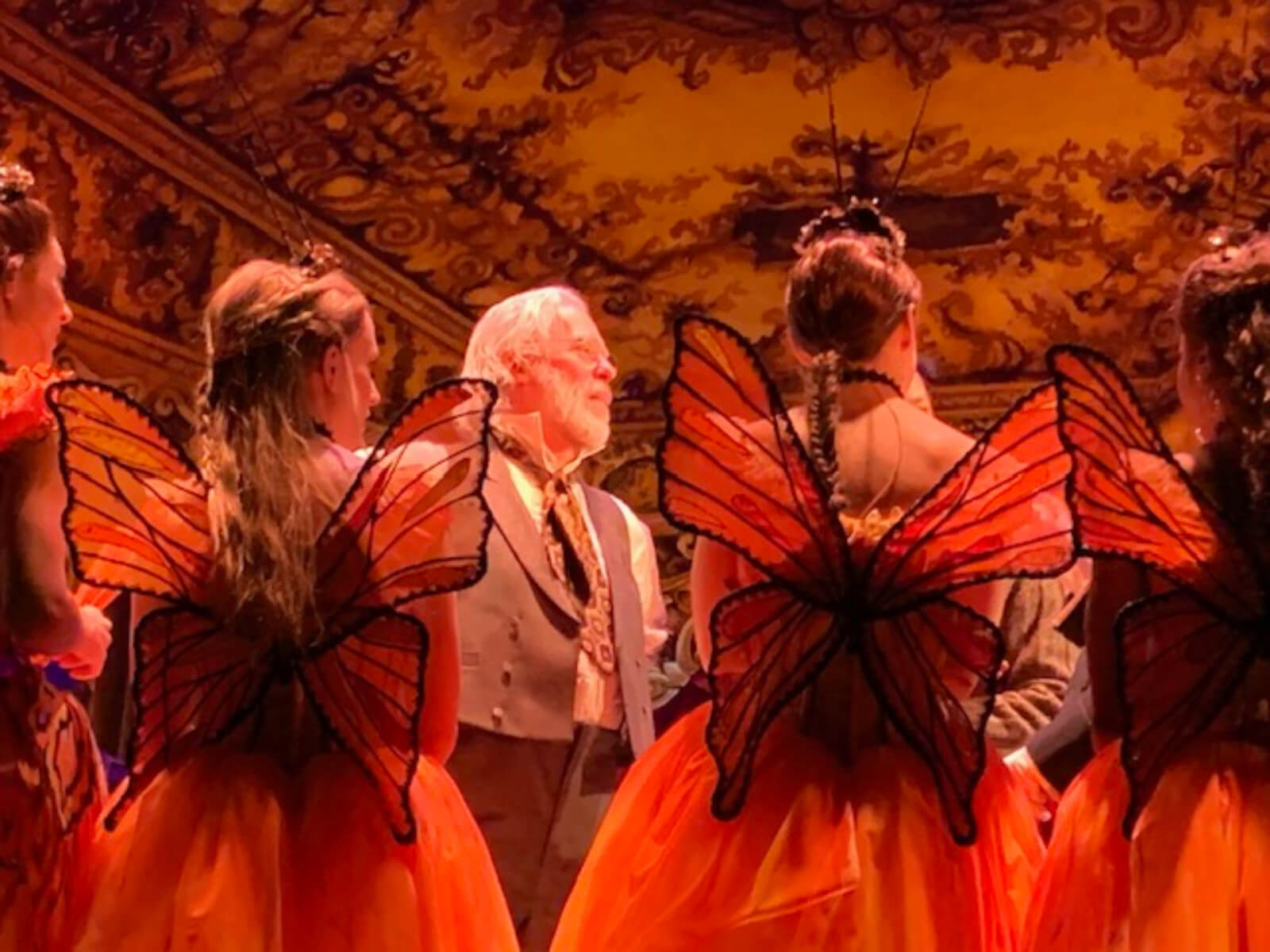 Young Ballerinas in butterfly costumes listen to Degas (Terrence Mann) in the Foyer de la Danse.