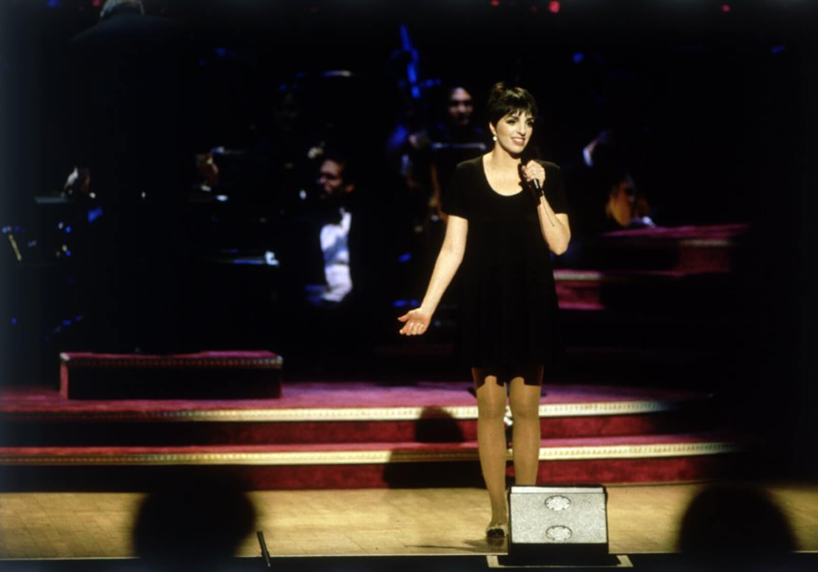 Liza Minnelli stands and sings. She is wearing a little black dress.