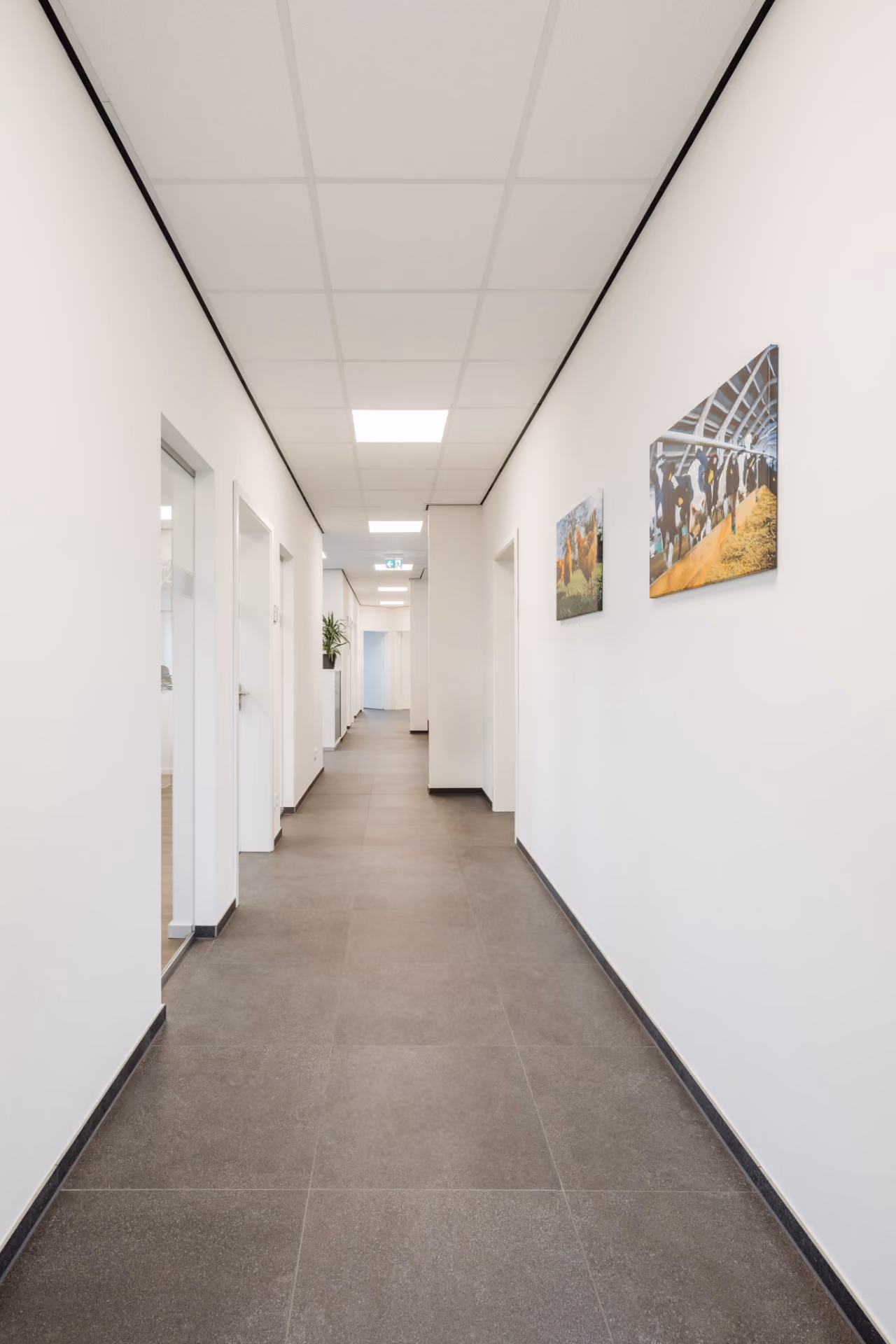 Moderner weißer Flur mit grauem Boden und zwei Tierbildern an der Wand rechts.