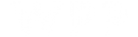 wp logo