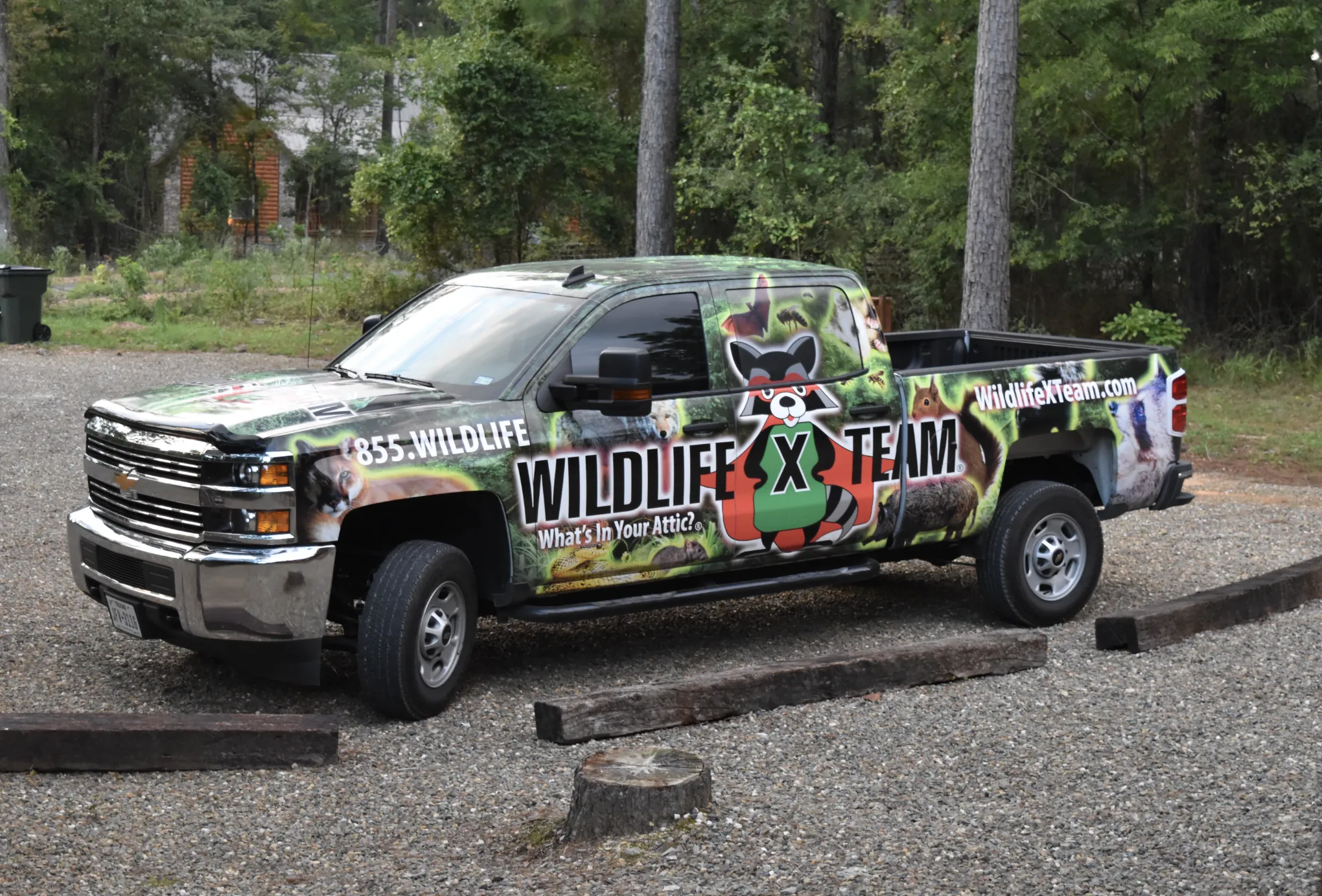 A Wildlife X Team expert safely removing an animal from a DFW home, restoring peace and security for the residents.