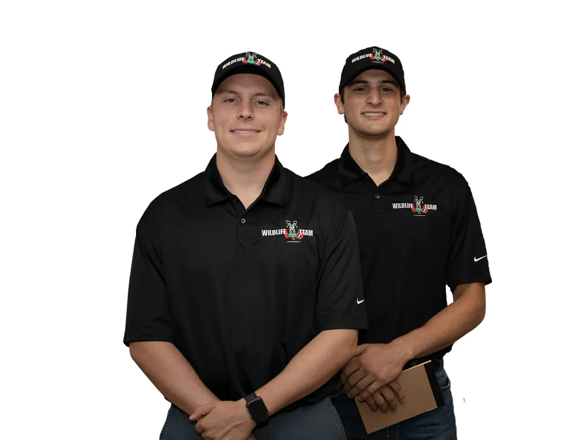 join the team