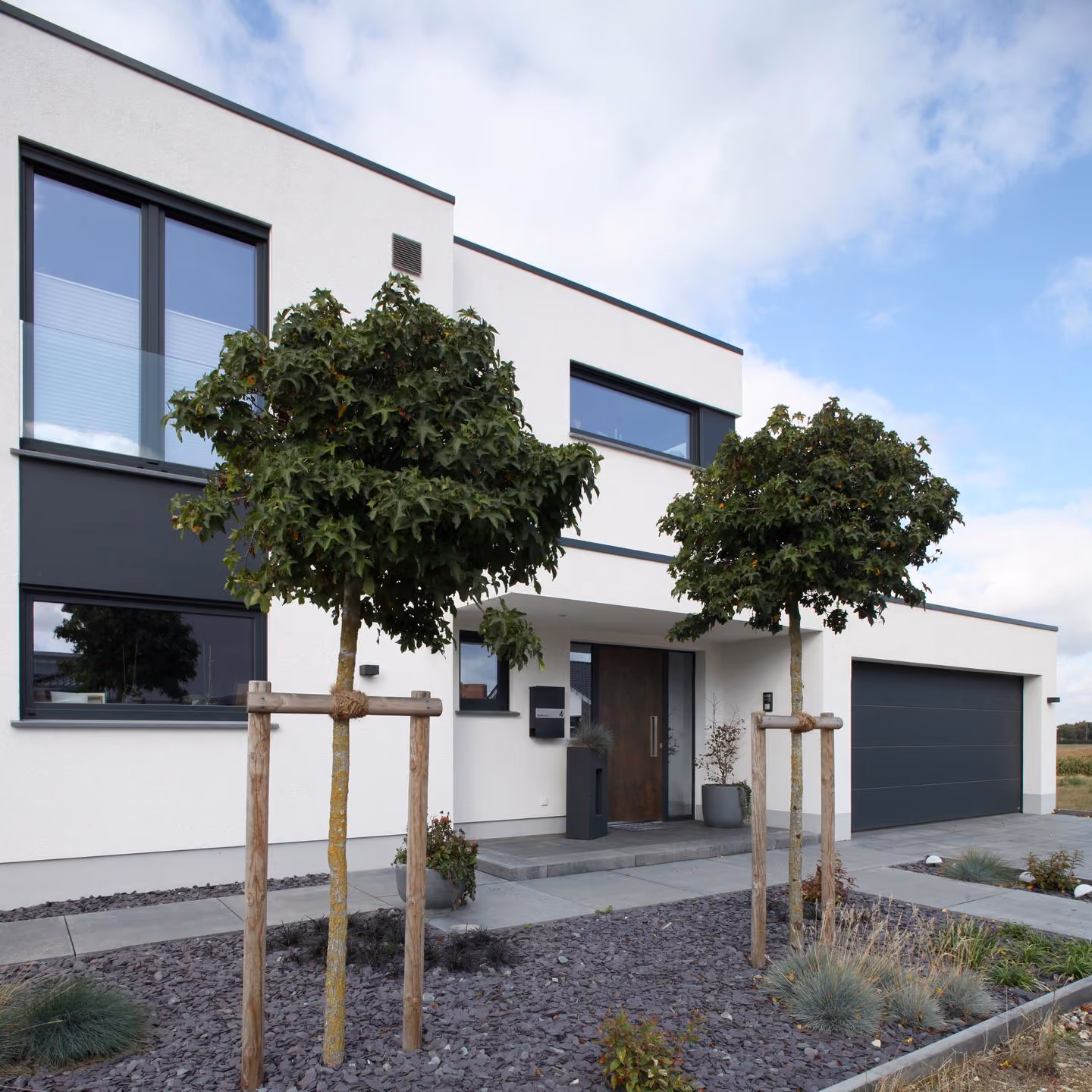 Straßenansicht mit Garage und jungen Bäumen