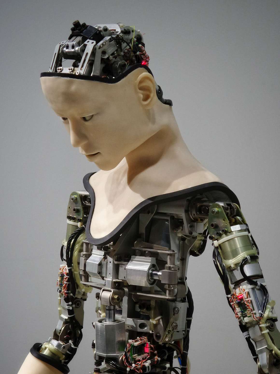 Robot